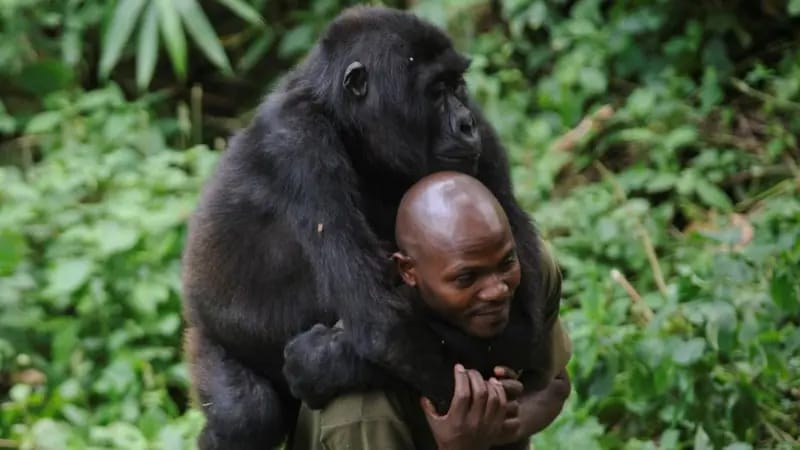 Photo intérieure après le troisième paragraphe
