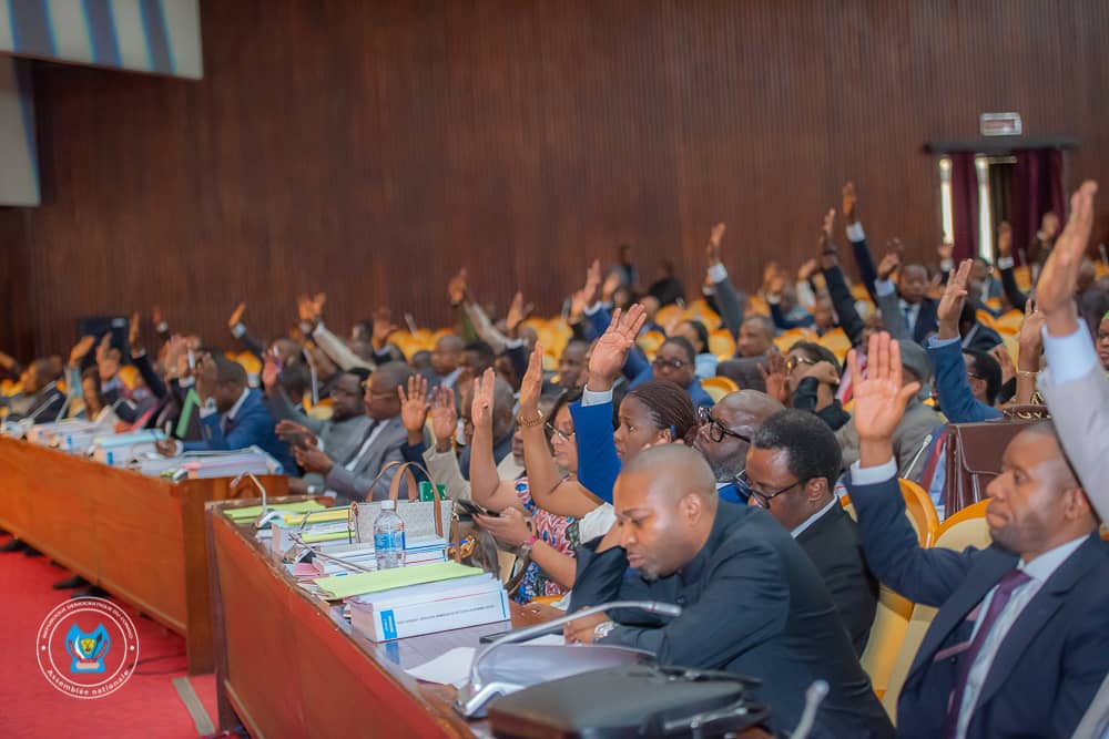 Assemblée nationale de la RDC 