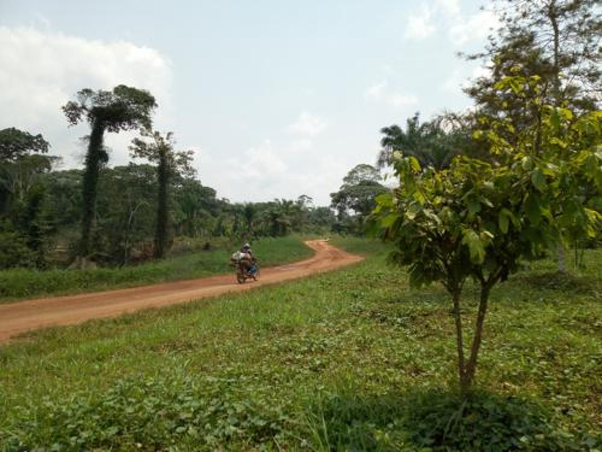 La route qui relie Mamove et Oicha dans le territoire de Beni au Nord-Kivu