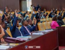 Les députés nationaux en plénière [ Photo d'illustration]