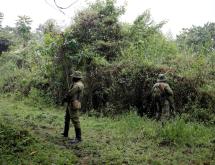 Des écogardes dans le parc national des Virunga [photo d'illustration]