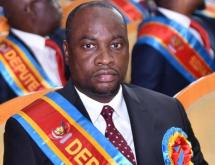 Le député national Francis Tshibalabala