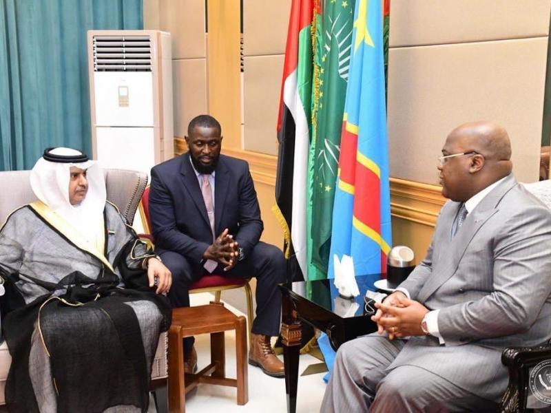 Les Emirats Arabes Unis en RDC