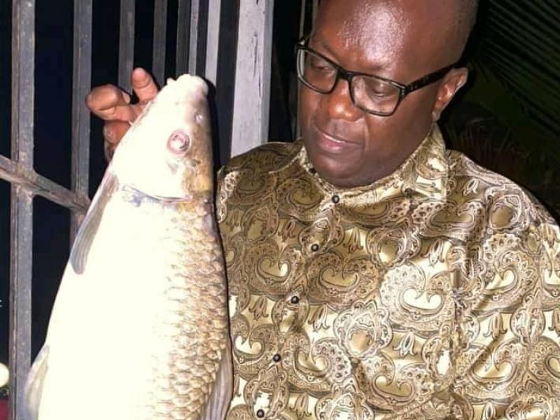 Guy Mafuta poisson.