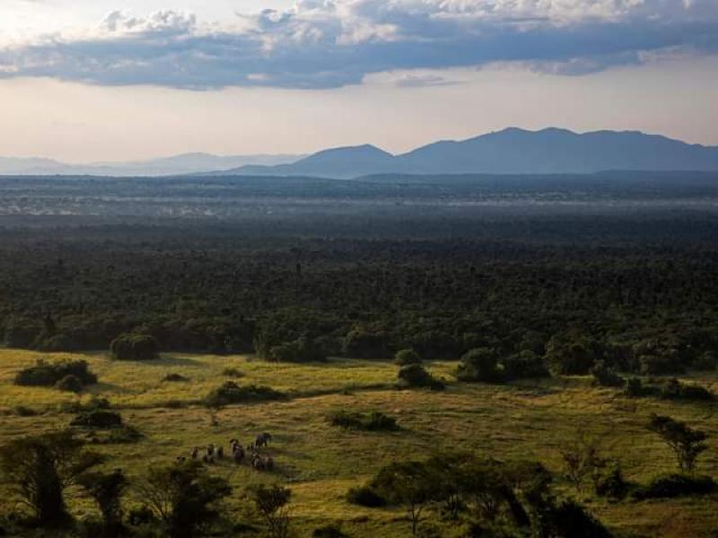 Le paysage du Parc National de Virunga