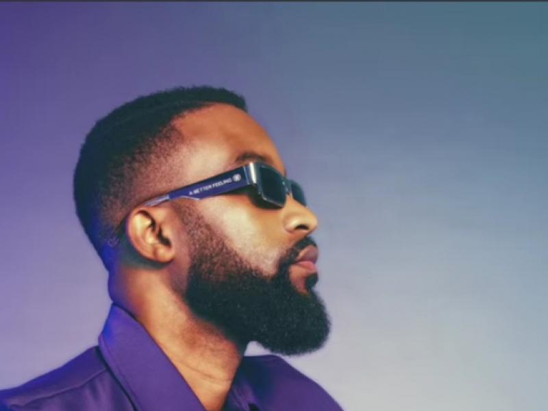 L'artiste musicien Fally Ipupa 