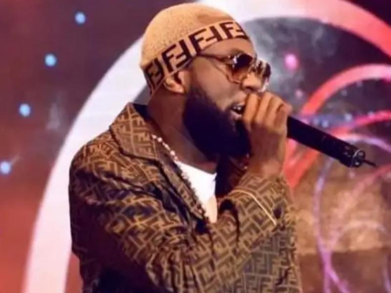 Le chanteur, Fabregas en pleine prestation scénique.
