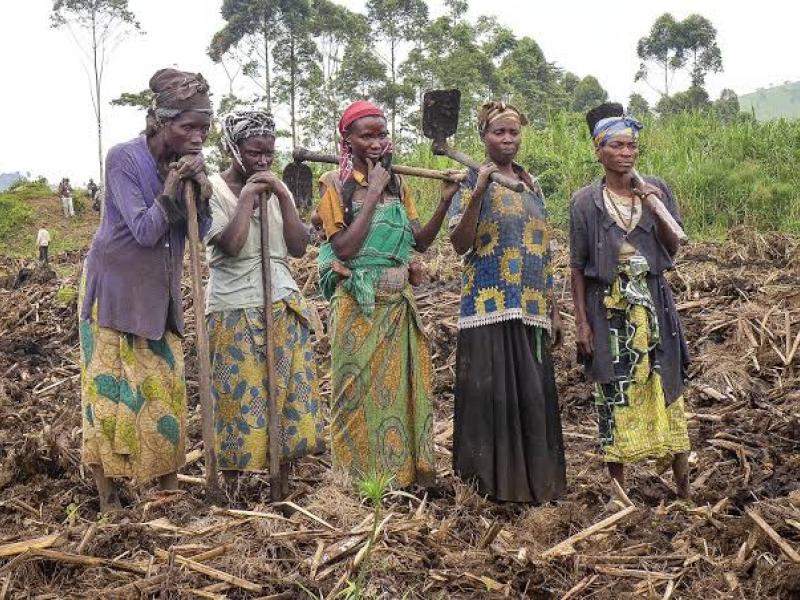 Des femmes exécutant des travaux champêtres à Rutshuru. [Photo d'illustration]