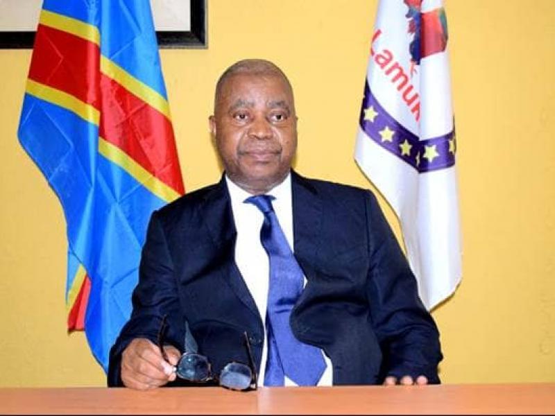 Adolphe Muzito, Premier ministre honoraire de la RDC