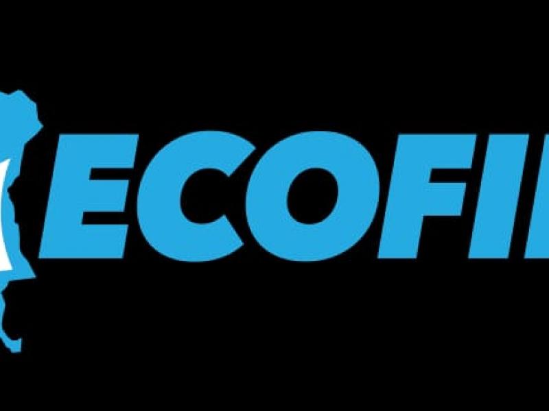 Logo ECOFIN TV