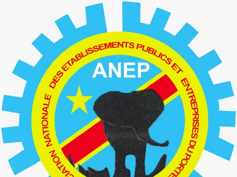 Logo ANEP