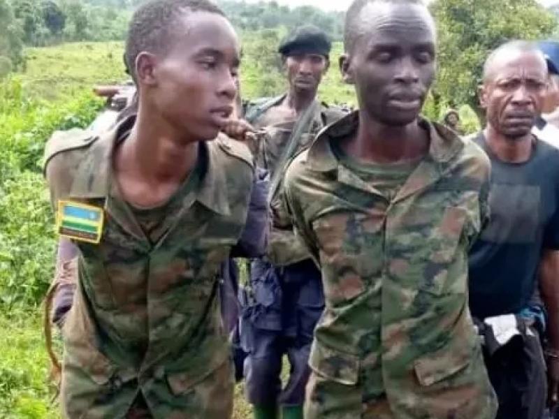 Deux rebelles en tenue militaire de RDF (Forces de la défense Rwandaise) arrêtés près de Rutshuru par les FARDC (Image d'illustration)