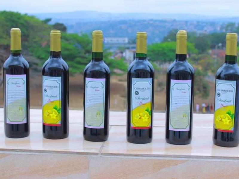 Échantillon de quelques bouteilles de vin fabriqués par les étudiants