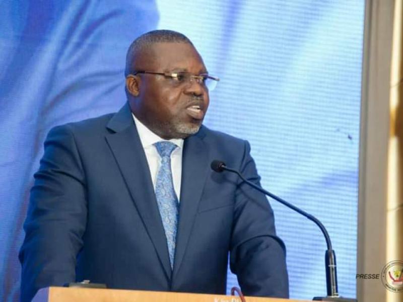 Séraphin Umba, Secrétaire Général de l'UDPS Kibassa