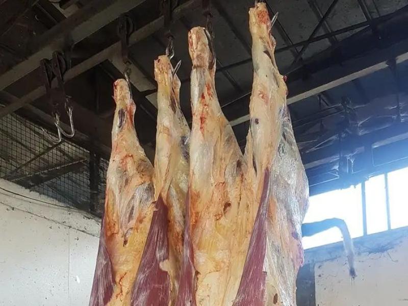 Des viandes des boeufs battus à la société abattoir de Goma[ photo d'illustration]