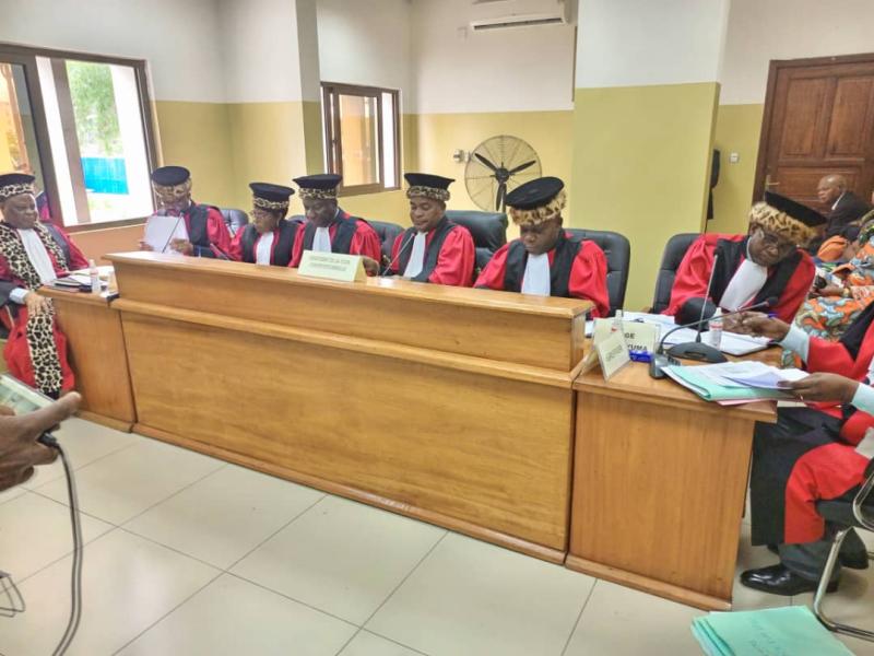Les juges de la Cour Constitutionnelle