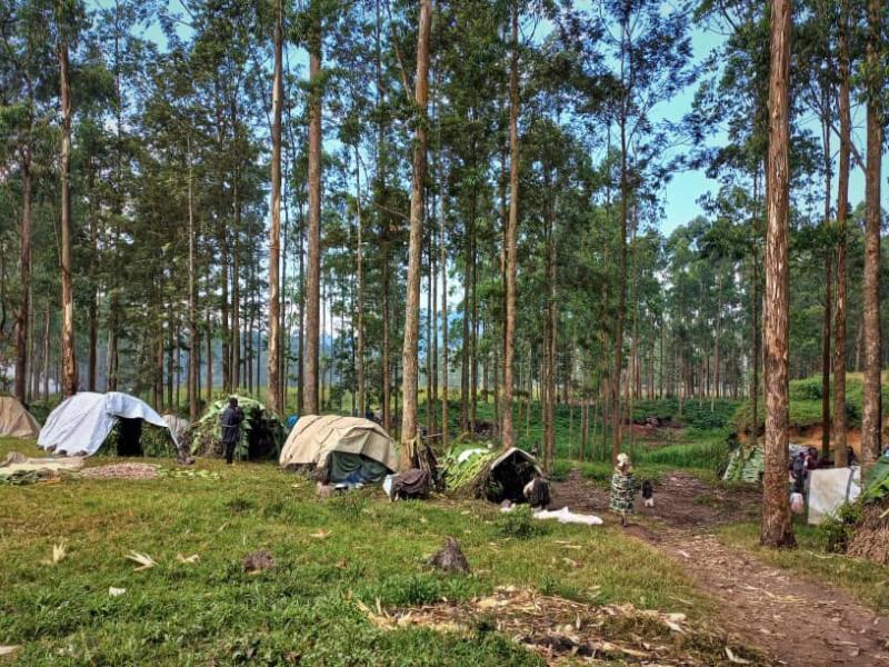 Un camp des déplacés dans l'Est de la RDC [photo d'illustration]