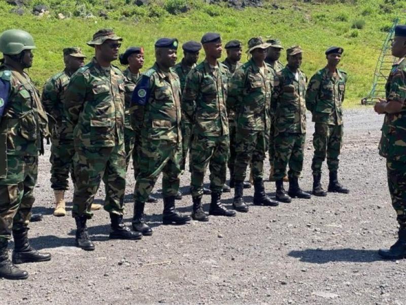 Les soldats de la SADC en parade à Goma