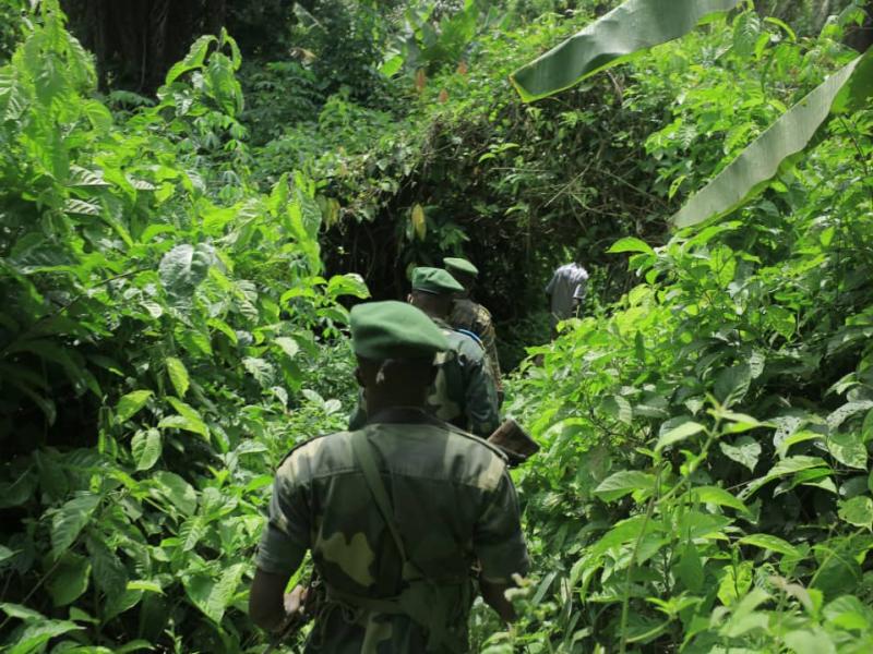 Les militaires FARDC en patrouille de combat dans la chefferie des Bashu en territoire de Beni [photo d'illustration]