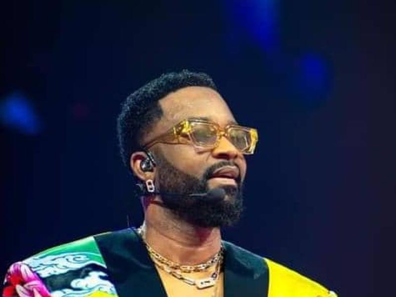 Fally Ipupa lors de son concert à la LDLC Arena de Lyon. [Photo d'illustration]