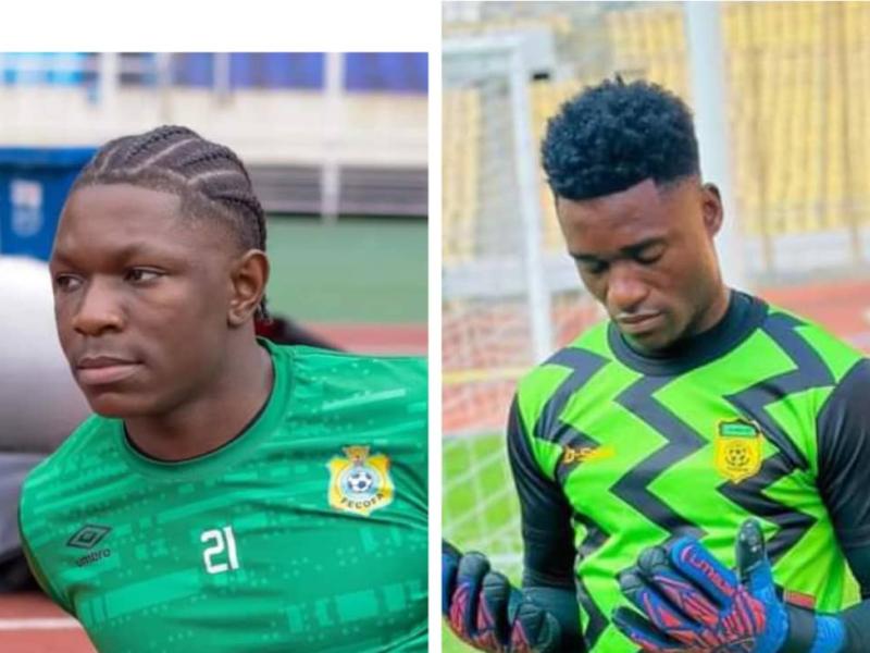 Timothy Fayulu et Brudel Efonge. 