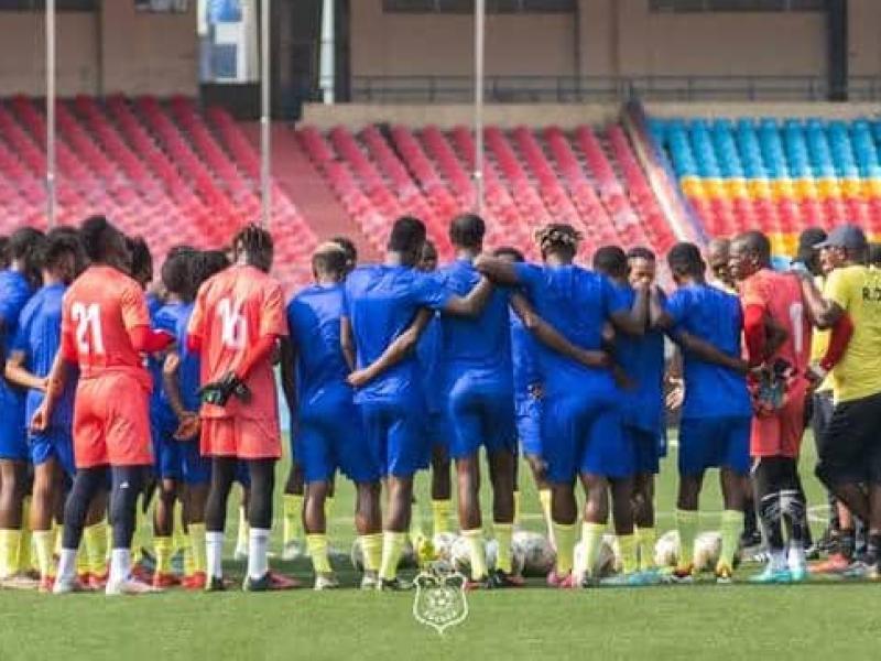 Les Léopards locaux de la RDC. [Photo d'illustration]