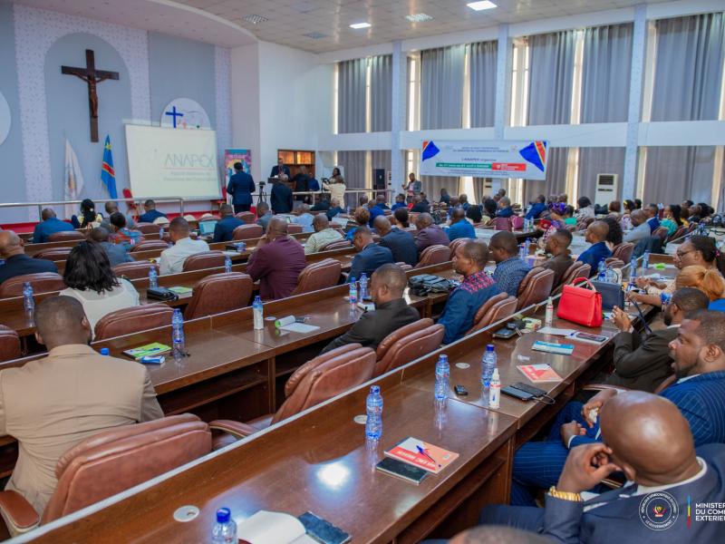 Lancement de l’atelier de l’appropriation de la SPED à Kinshasa, le 31 mars 2025 [photo d’illustration]