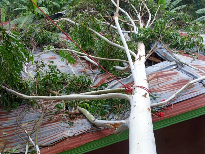 Photo d'illustration