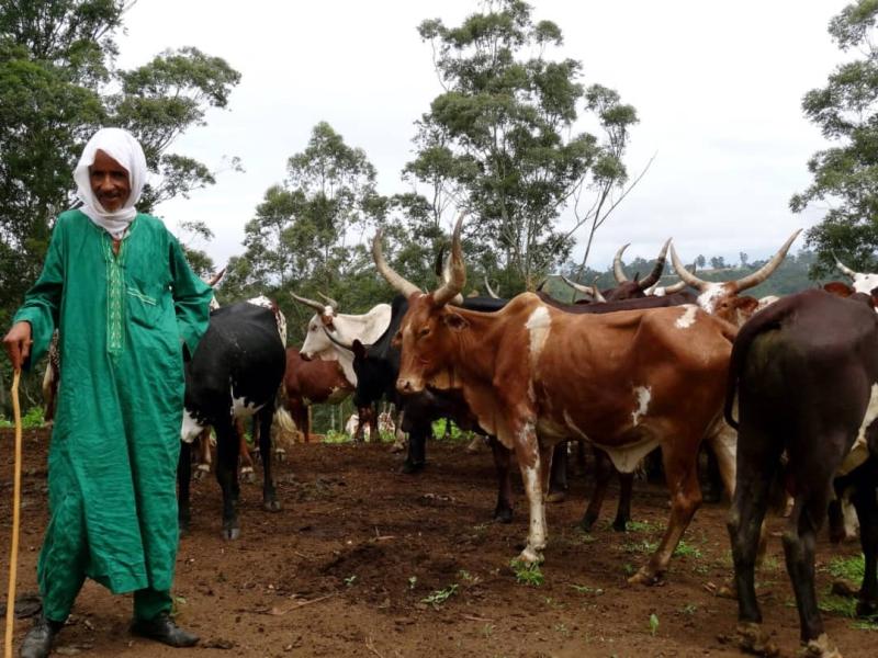 La transhumance des éleveurs Mbororo alimente des tensions en RDC où la cohabitation est difficile voire impossible avec les communautés locales dans les régions occupées par ces pasteurs nomades