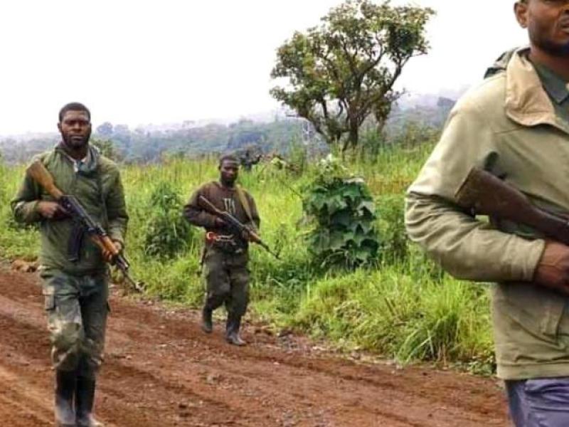 Les éléments du groupe d'autodéfense Wazalendo au front