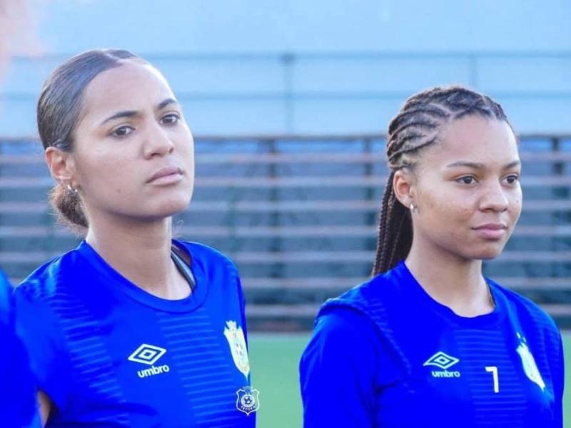 Deux Léopards dames, lors d'une séance d'entraînement, en Tanzanie