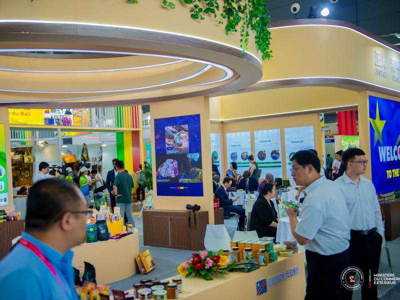 Des produits congolais exposés à Changsha, lors de l’ouverture de la 4ème édition de l'Exposition Sino-Africaine