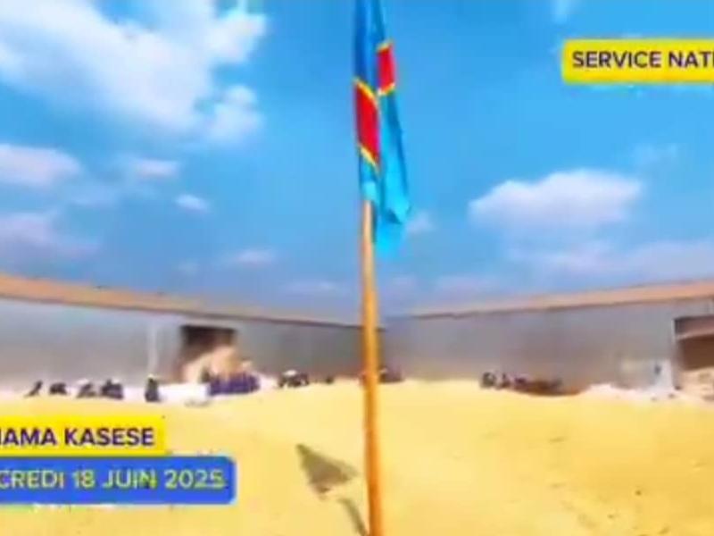 Moisson de maïs réalisée par d'anciens kuluna réinsérés grâce au Service National
