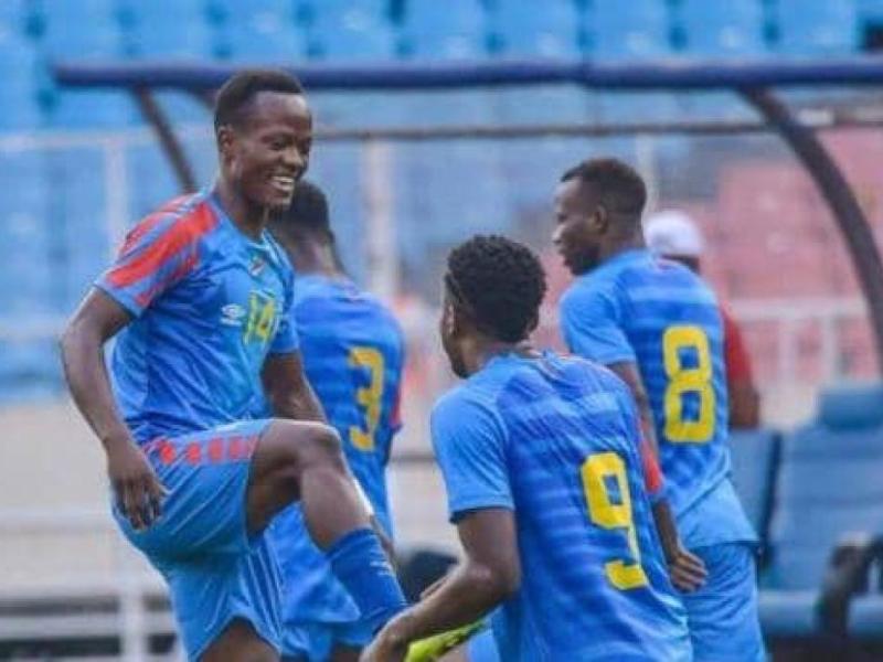 Les Léopards locaux de la RDC. [Photo d'illustration]