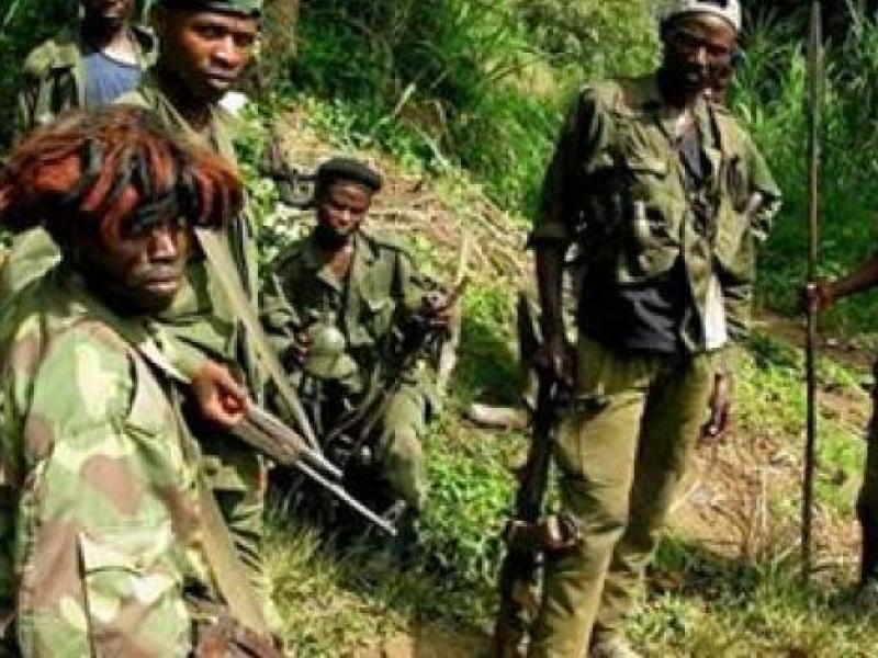Un groupe des rebelles ADF en Ituri [photo d'illustration]