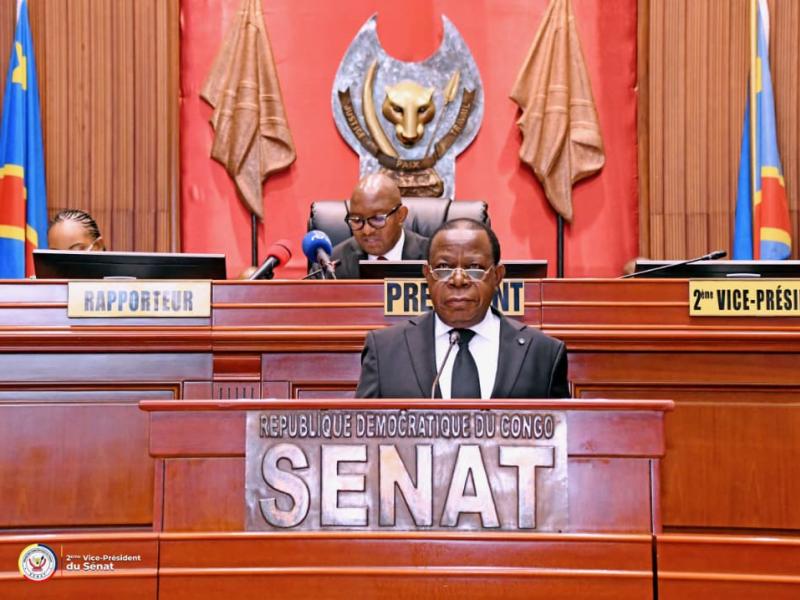 Le président du Sénat juge recevable la proposition de loi de Modeste Bahati Lukwebo sur la protection des femmes victimes de violences