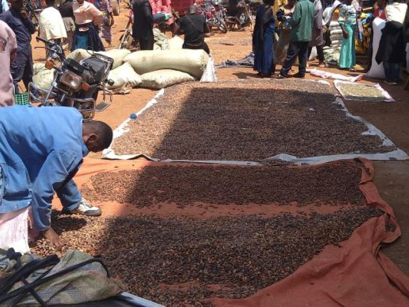 Photo d'illustration 