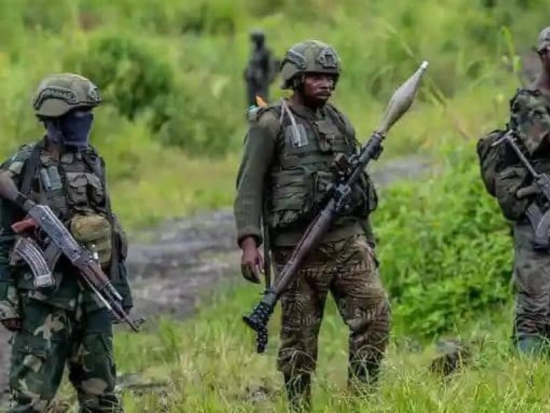 Des rebelles du M23-AFC autour du Parc national des Virunga [photo d’illustration]