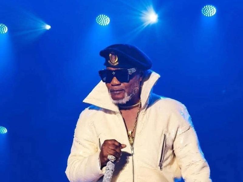 Koffi Olomide lors de son concert à l'ING Arena Bruxelles. [Photo d'illustration]