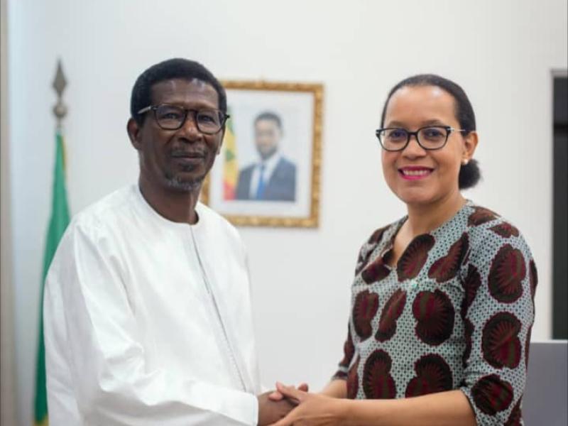 La ministre Raissa Malu et Mary Teuw Niane, Directeur de Cabinet du Président du Sénégal [photo d'illustration]
