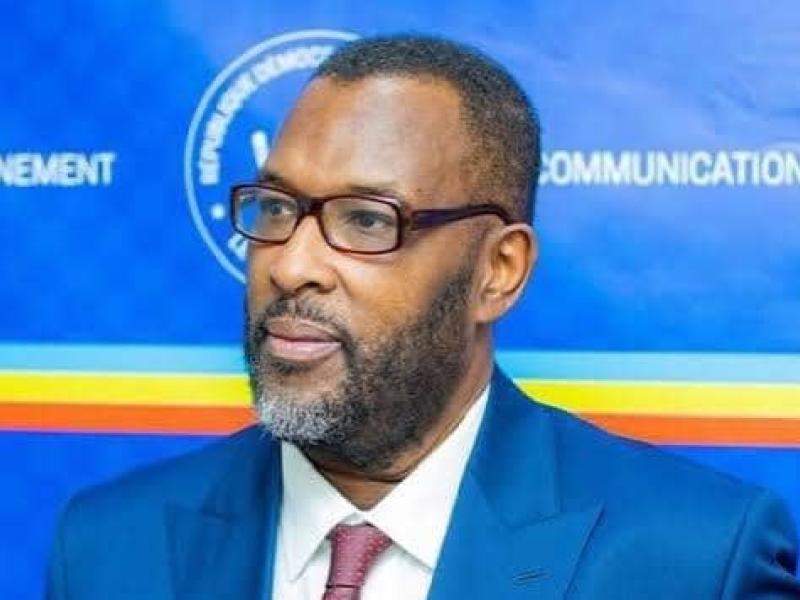 Nzanga Mobutu, Homme politique et ancien vice-Président de la RDC