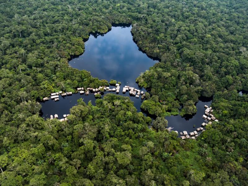 Vue aérienne de la forêt du bassin du Congo [photo d’illustration]