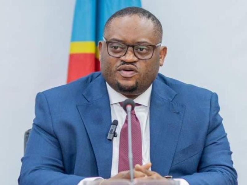 Doudou Fwamba Likunde Li-Botayi, ministre des Finances en RDC
