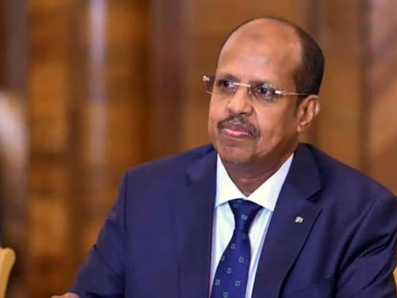 Le président de la Commission de l’Union africaine, Mahmoud Ali Youssouf [photo d'illustration]