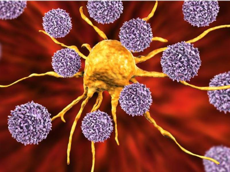 Photo d'illustration