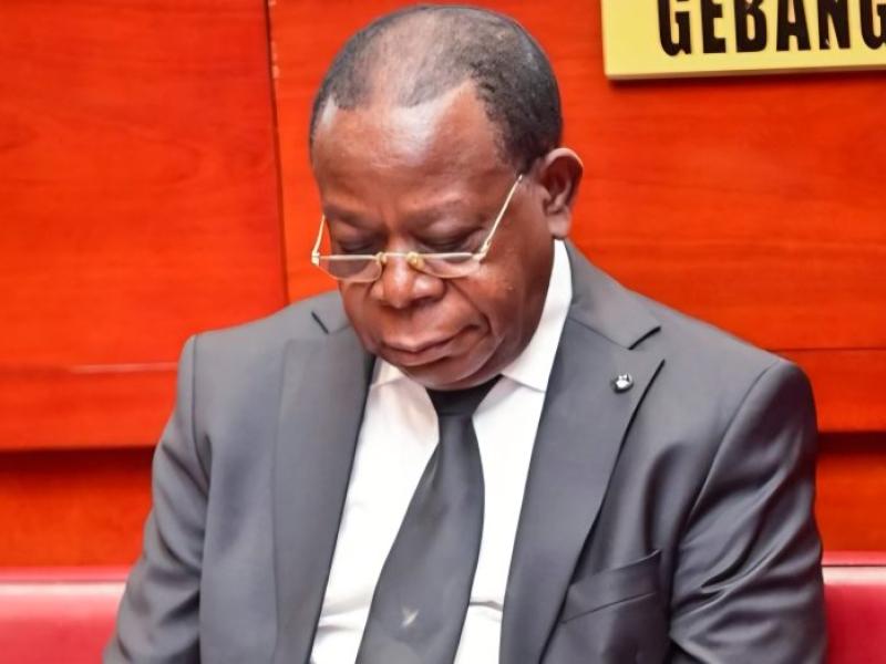 Modeste Bahati Lukwebo,  président du parti politique AFDC