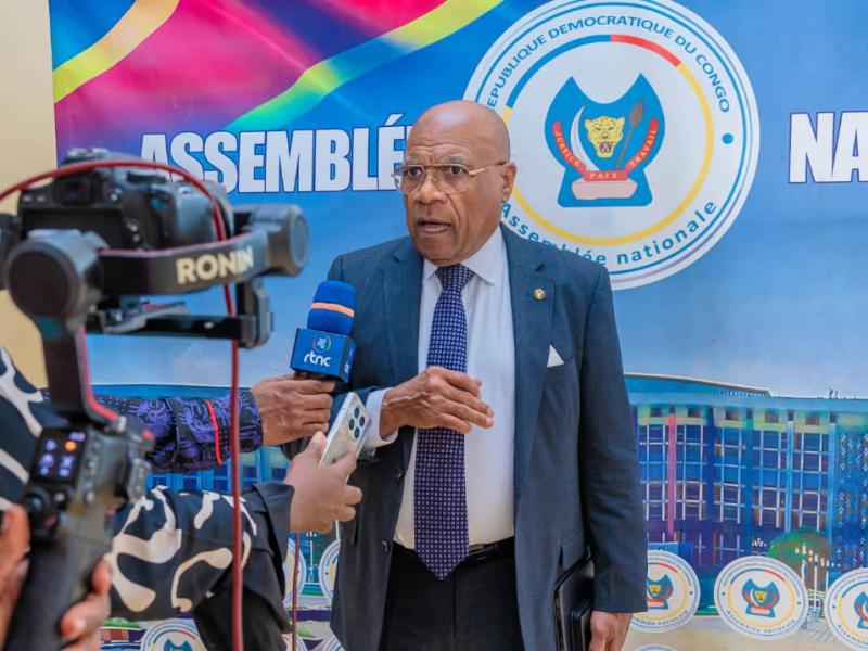 Le député national She Okitundu