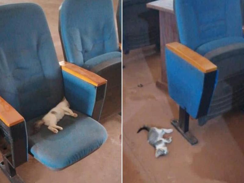 Photo d'illustration