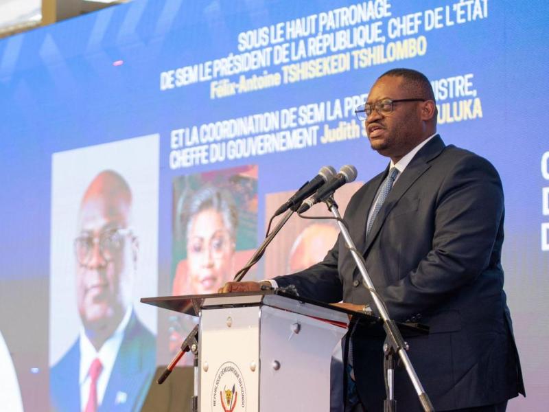 Doudou Fwamba Likunde Li-Botayi, ministre des Finances en RDC
