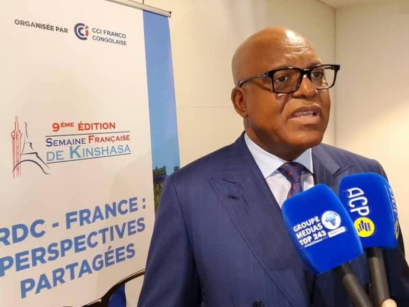 Émile Ngoy, Ambassadeur de la RDC en France